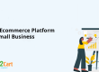 Best Ecommerce Platform for Small Business
